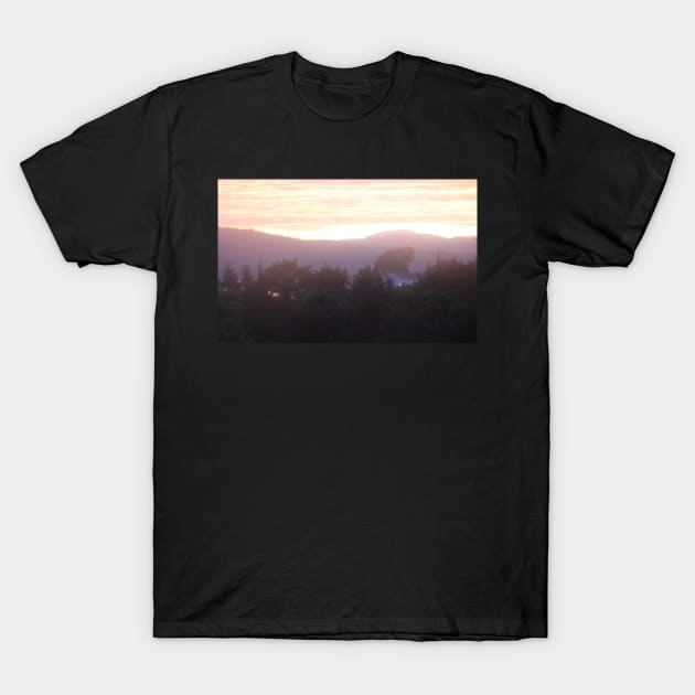 Glorious Columbia River Sunrise T-Shirt by DlmtleArt